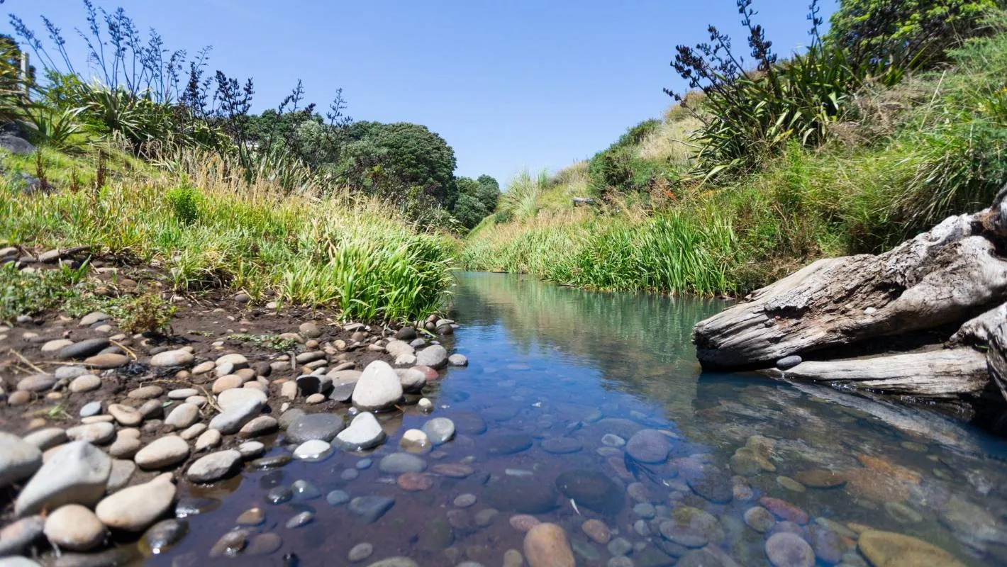 The beauty of Node.JS streams