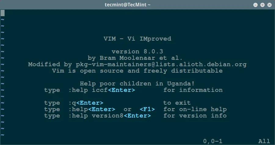 Develop JS/TS with Vim